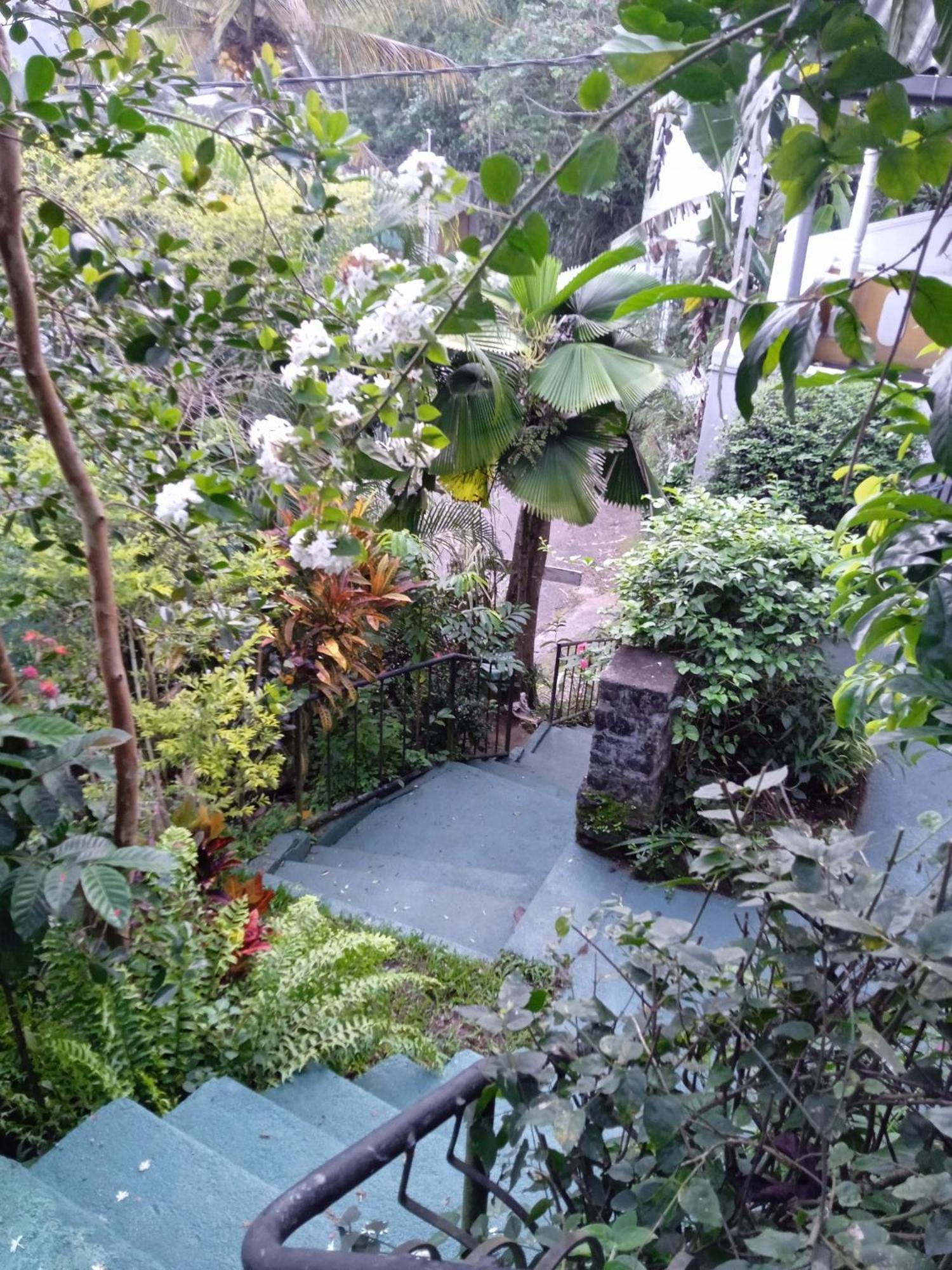 Alex Home Stay แคนดี้ ภายนอก รูปภาพ