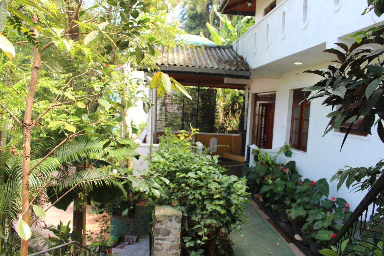 Alex Home Stay แคนดี้ ภายนอก รูปภาพ